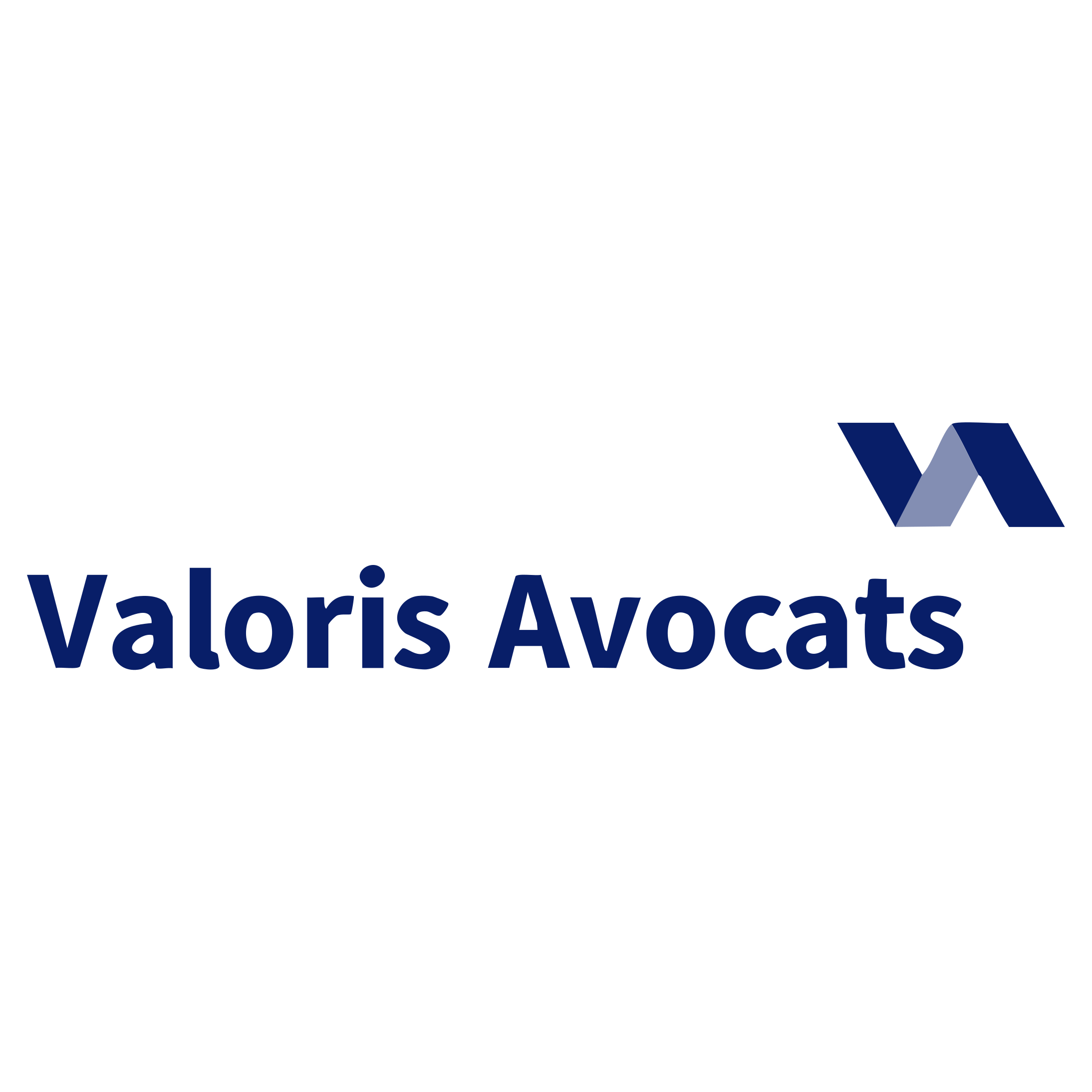 Logos_Valoris